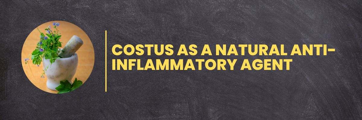 Costus as a Natural Anti-Inflammatory Agent