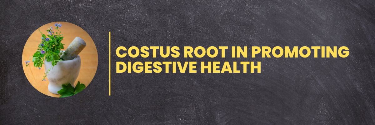 Costus Root in Promoting Digestive Health