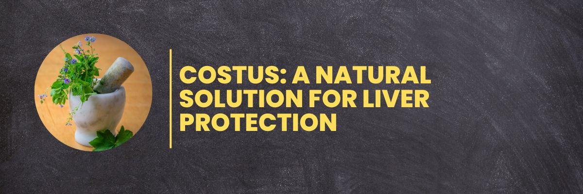 Costus: A Natural Solution for Liver Protection