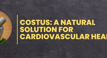 Costus: A Natural Solution for Cardiovascular Health