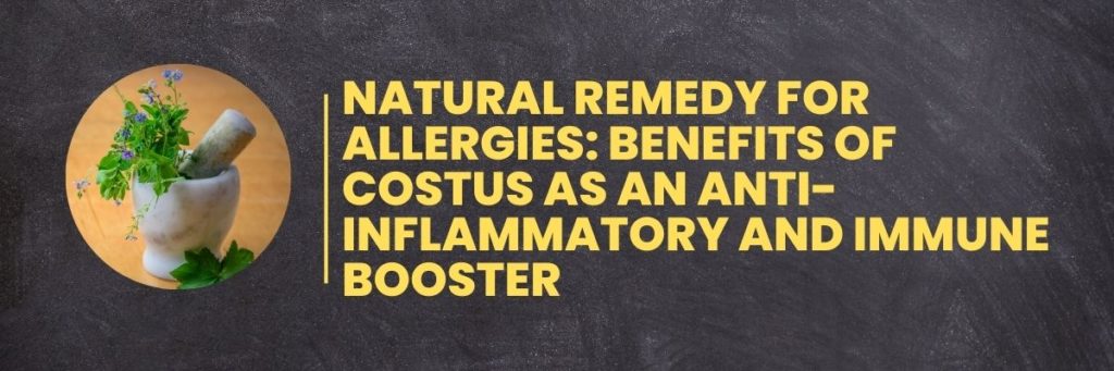 Natural Remedy for Allergies: Benefits of Costus as an Anti-inflammatory and Immune Booster