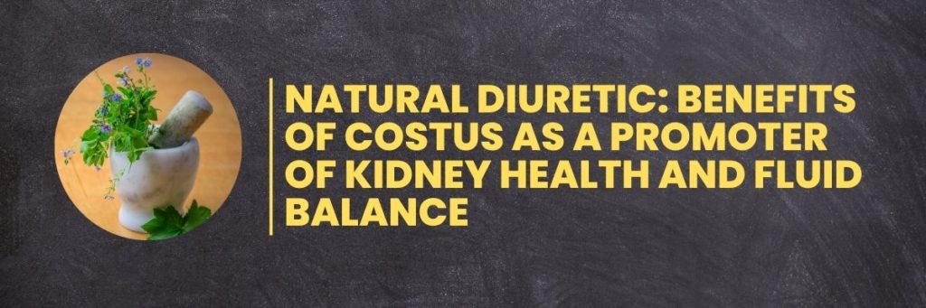 Natural Diuretic: Benefits of Costus as a Promoter of Kidney Health and Fluid Balance