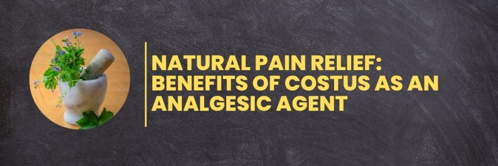 Natural Pain Relief: Benefits of Costus as an Analgesic Agent